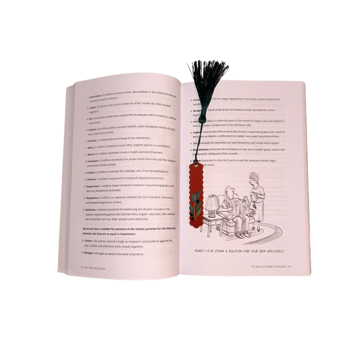 Black olive bookmark B