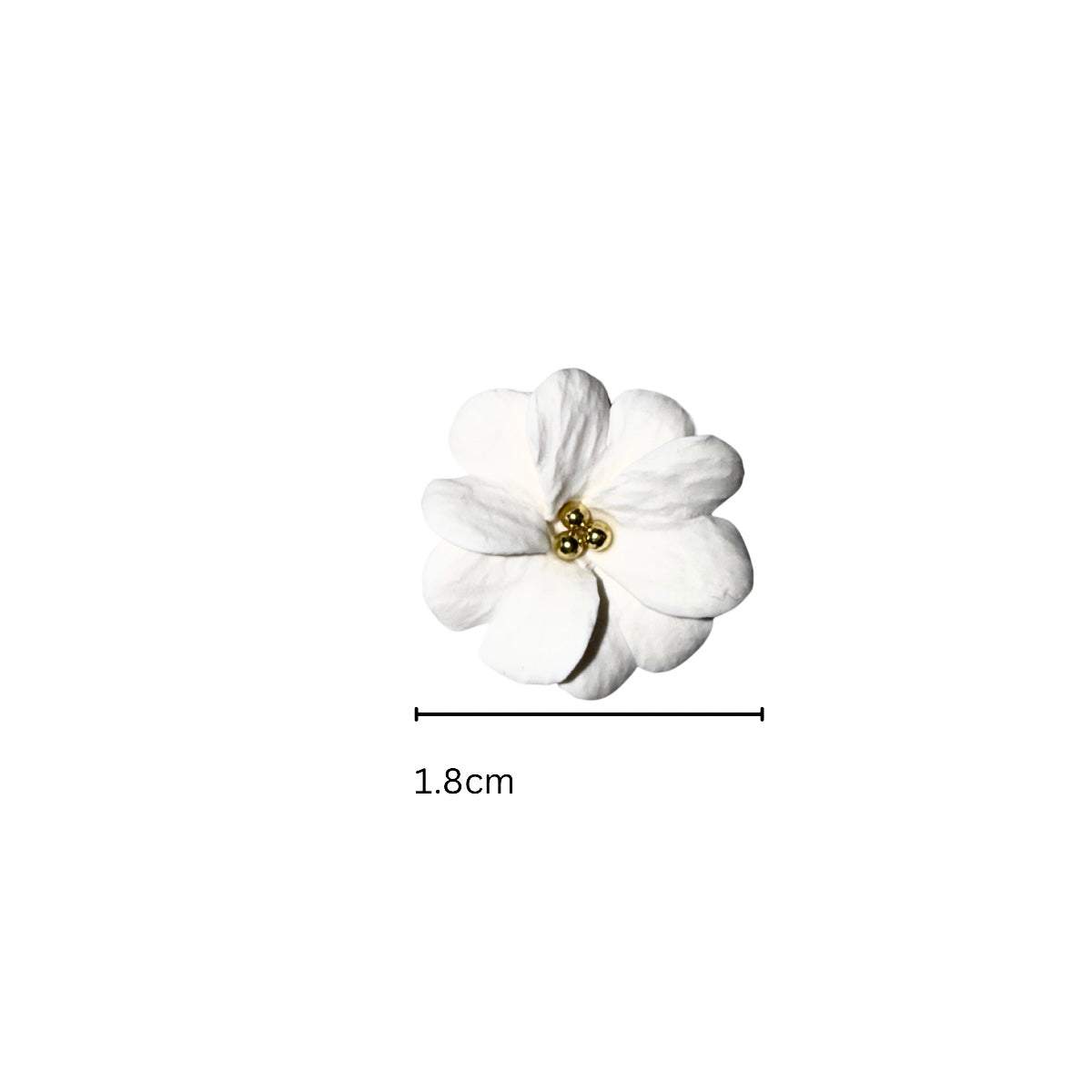 White Bloom (on the chain)
